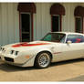 Cool White Trans AM