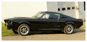 Mustang Restoration