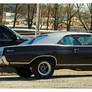 Really Cool Buick Skylark