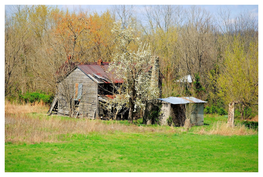 Another Season Begins At The Old Home Place