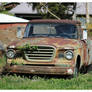 Studebaker Truck Rusting Away