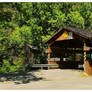 A Pretty Covered Bridge In Tennessee