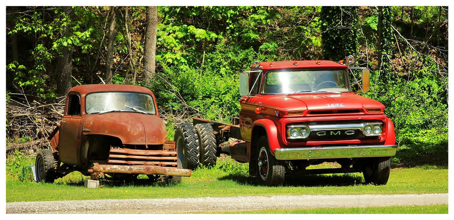 Two Old Trucks In A Field