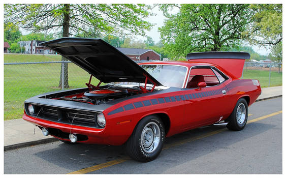 A Sharp Red Cuda