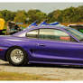 A Purple Pony Car