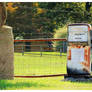 An Old Exxon Farm Gas Pump