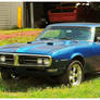 A Sharp Pontiac Firebird