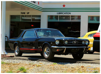 A Sharp Black Mustang