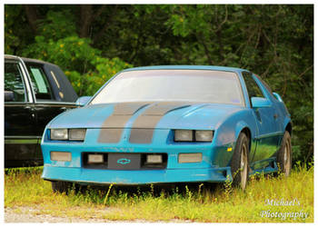 Camaro In The Weeds