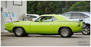 Sublime Green Cuda