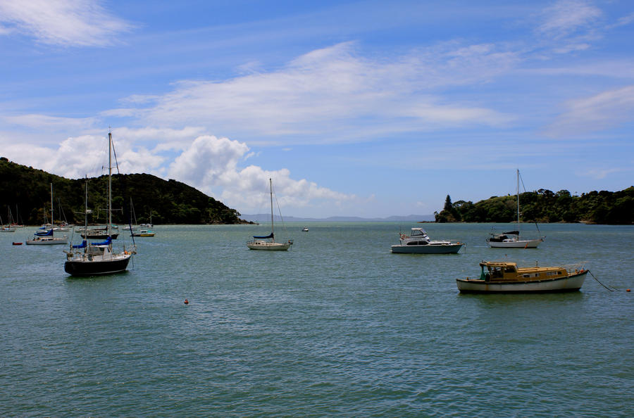 Mangonui Harbour