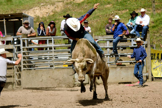 Bullride