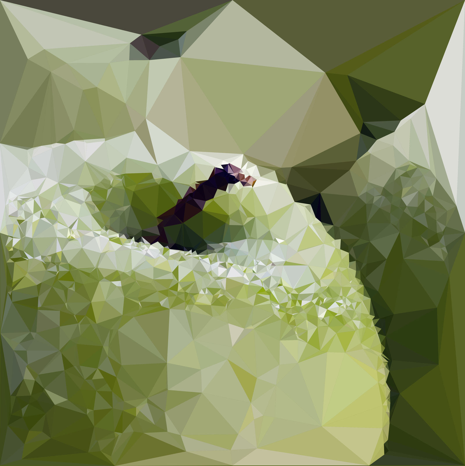Abstract Art : Fruits : Green Apple by kenkchow