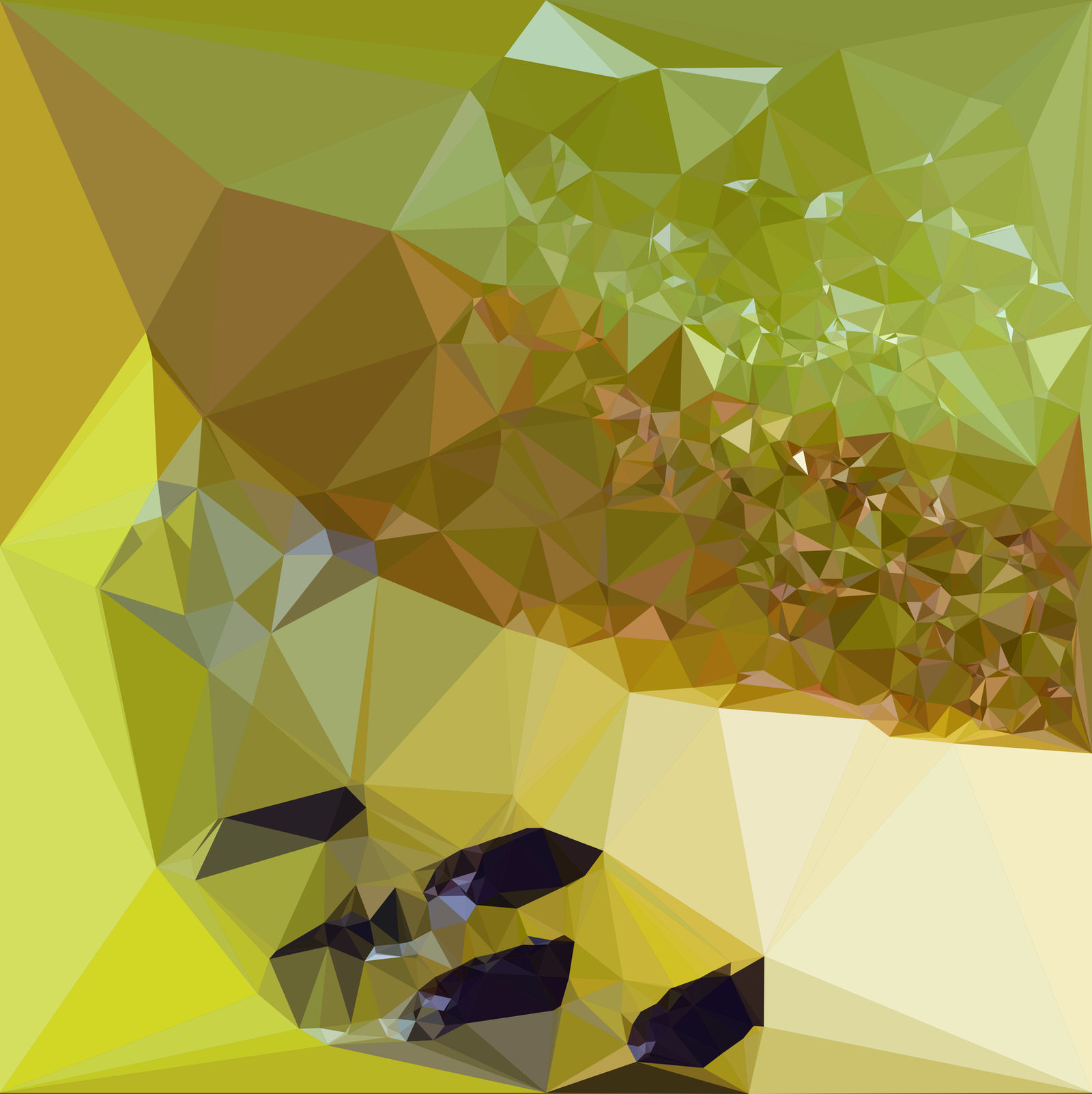 Abstract Art : Fruits : Kiwi by kenkchow