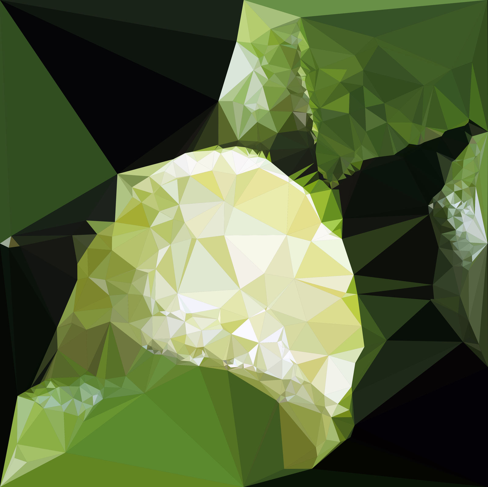 Abstract Art : Fruits : Lime by kenkchow
