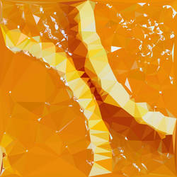 Abstract Art : Fruits : Orange