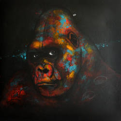 2016, Gorilla, acrylic on canvas 100cmx100cm