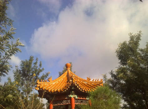 Chinese Garden in Jordan =P