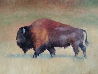 Bison 9 x 12 oil on canvas