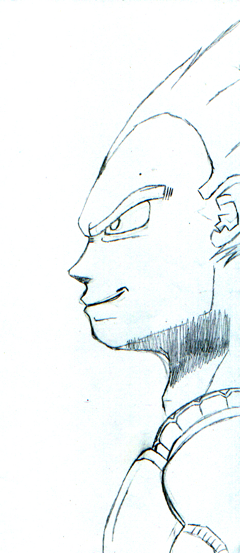 Vegeta 'old work'