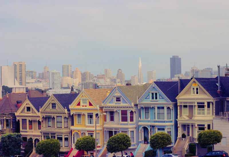 Painted Ladies