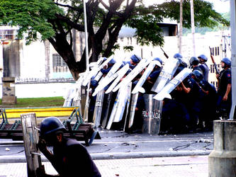 Los pacos desordenados