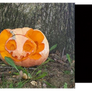 Gnar-o-lantern