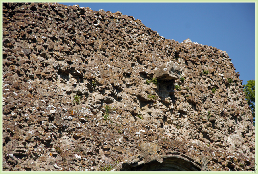 Wall of Gardens