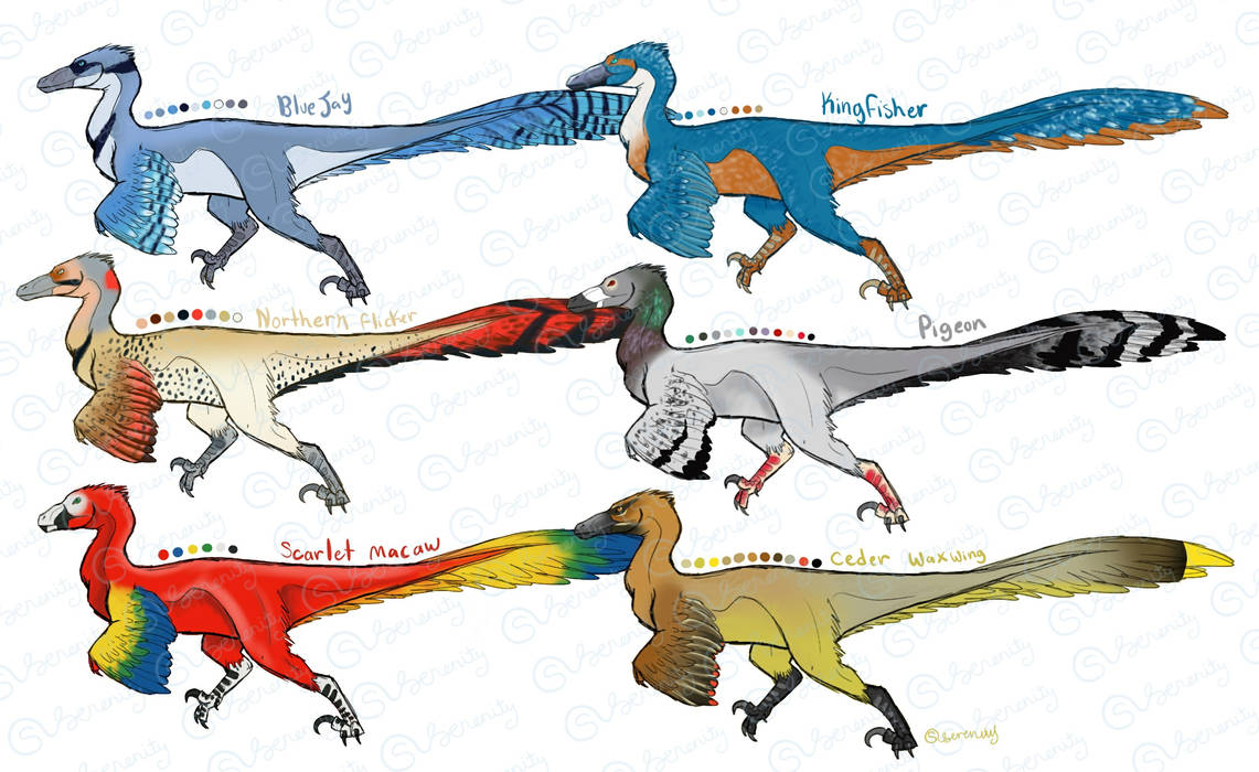 Raptors bird Colors by stargazerkittycat on DeviantArt
