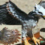 Harpy Eagle Red Tailed Hawk hybrid