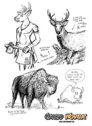 Cursed Wombat - Bison and Whitetail Deer