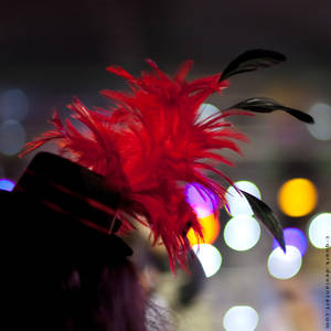 feathers and lights