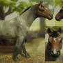 Commission: repaint Schleich English thoroughbred