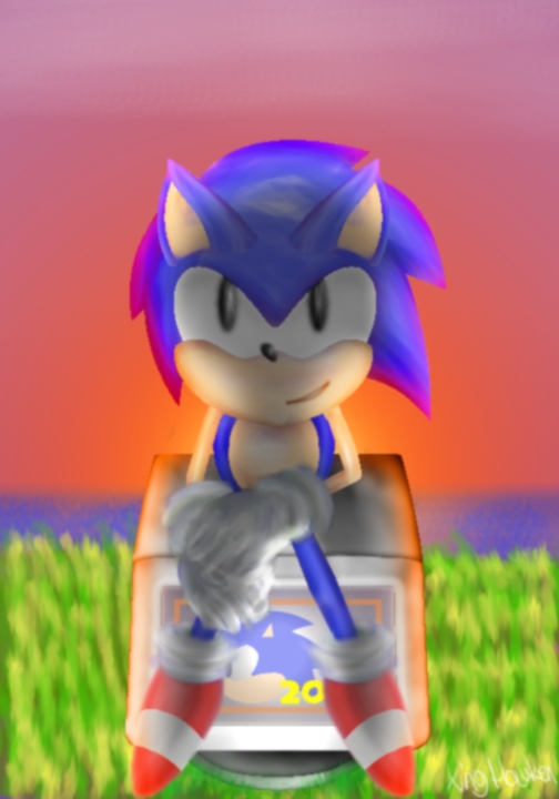 Sonic 20th Birthday