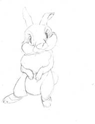 Lapin01