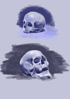 Skull Shading