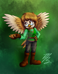 Kenz the Barn Owl Redesign