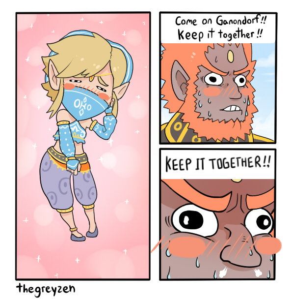 Gerudo LInk by thegreyzen on DeviantArt