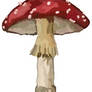 Red shroom