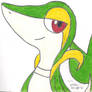 Snivy!