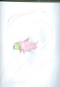 Trout
