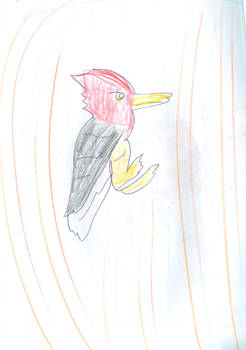 Woodpecker