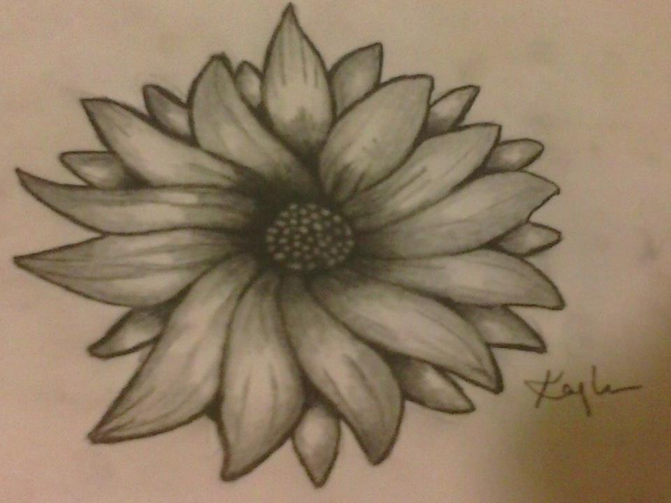 photo Sunflower Sketch Images sunflower sketch by kaykay18tink on