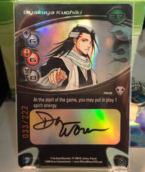 Byakuya Kuchiki Echo