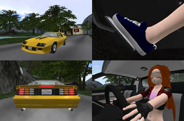 Lorna and the Z28