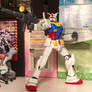 HG 1/144 RX78-2 Revive