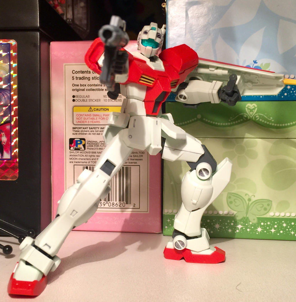 HG 1/144 GM/GM