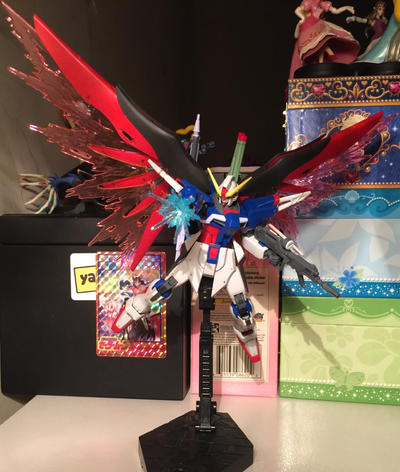 HG 1/144 Destiny Gundam