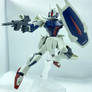 HG 1/144 Dagger L