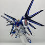 HG 1/144 Rising Freedom Gundam